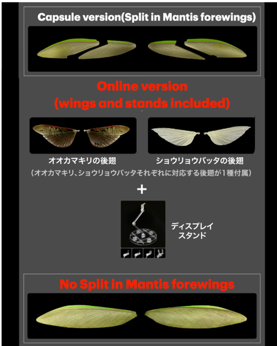 The Diversity of Life on Earth Mantis & Grasshopper w/ Wings & Stand Bandai - Picture 4 of 18