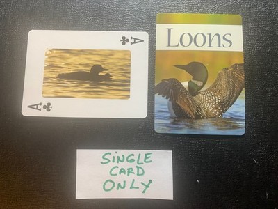 Swap Playing Card     LOONS      Single Card     STAN TEKIELA    ACE OF CLUBS
