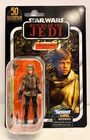 Star Wars The Vintage Collection Luke Skywalker Endor 50th VC198 ROTJ New
