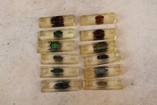 12 porte-couteaux en résine vintage avec incrustation d'insectes