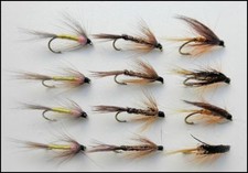 Wet Trout Fishing Flies, 12 Pack, Pheasant Tail, Tupps & Dunkeld, Mixed 10/12/14