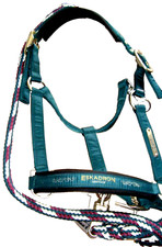 DAS ORIGINAL Eskadron Heritage Halfter Racinggreen Vollblut +Strick Sammlerstück