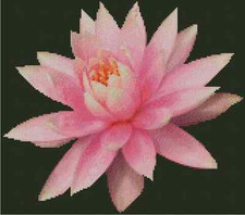 Flower Pink Lotus Counted Cross Stitch Chart No.20-103