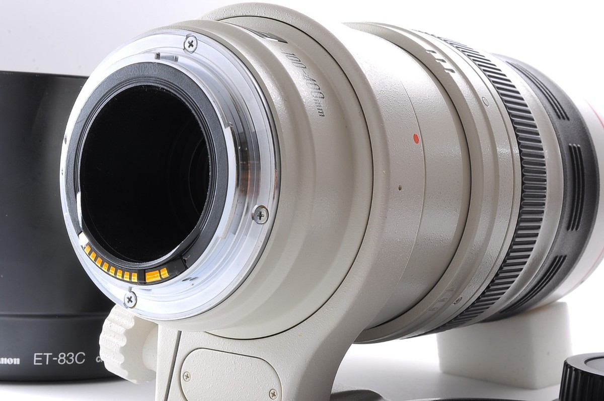 Canon EF 100-400mm F/4.5-5.6 L IS USM Zoom Lens Full Frame Tested