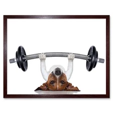 Jack Russell Dog Personal Trainer Weight Lifter 12X16 Inch Framed Art Print