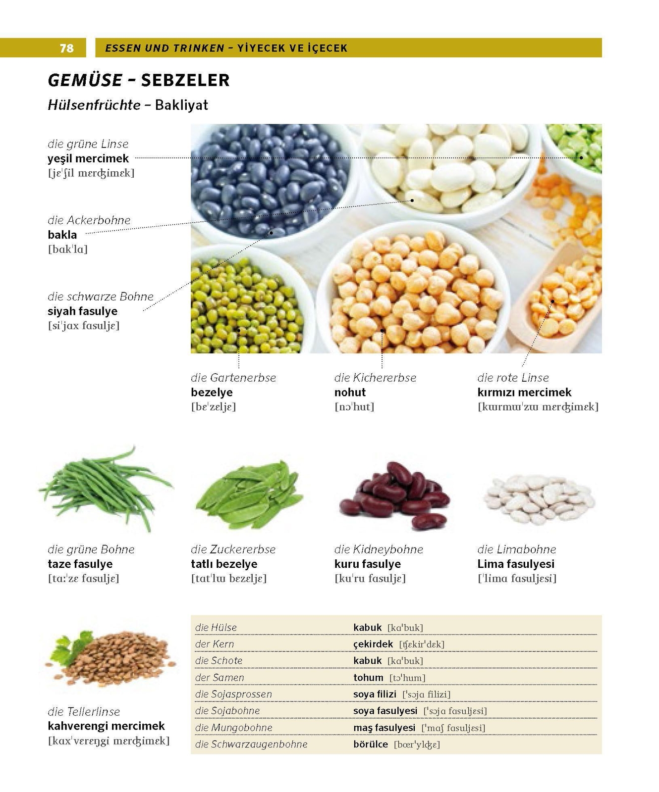 Thumbnail - Pons Bildwörterbuch Türkisch | 16.000 Wörter Und Wendungen Mit