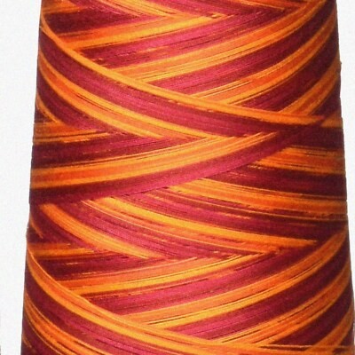3000-yard Variegated Quilter's Thread
