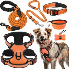 Anti-Zug Hundegeschirr Set mit Halsband Leine Inkl. Auto Sicherheits