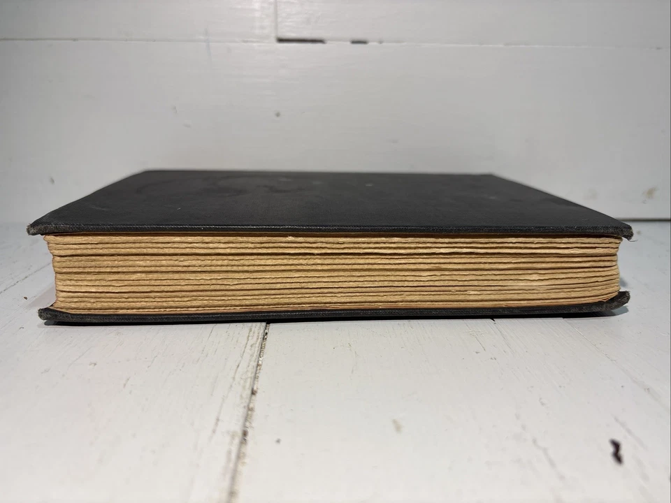 Vintage Archy and Mehitabel by Don Marquis 1934 Hard Cover Collectible Book - Image 4 of 4