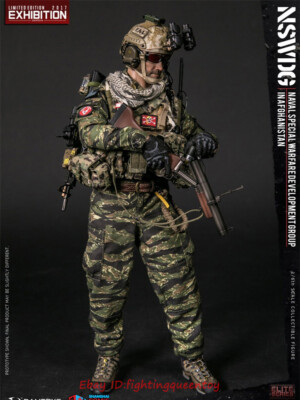 1/6 DAMTOYS NSWDG フィギュア s-l400.jpg
