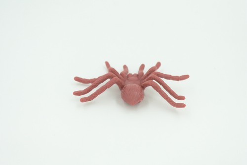 Spinnenspielzeug Gummispinne, braun, realistisches handbemaltes Modell, Geschenk, 2" US17 B44 - Bild 7 von 9