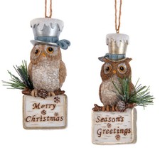 Rustic Glam Owl With Hat Ornaments