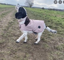 barbour dog coat