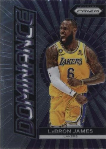 その他 Lebron James Prizm Silver Fireworks 2024-25 LEBRON JAMES PANINI PRIZM FIREWORKS SILVER | eBay