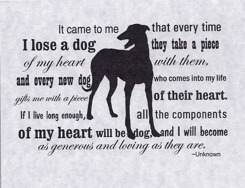 Greyhound Dog Sympathy Cards with Envelopes - Heart of a Dog, set of 4