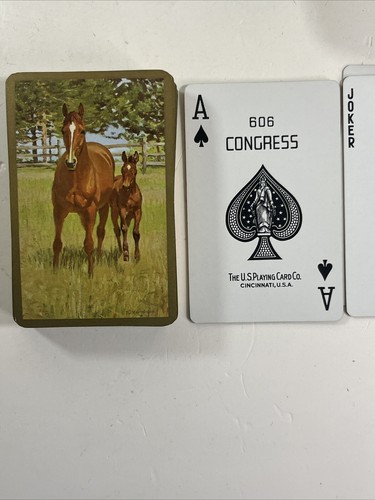 Vintage Set di 12 Carte da Gioco Congresso (Cel-U-Tone) Sliver Tone On Side - 8 Nuove - Foto 15 di 19