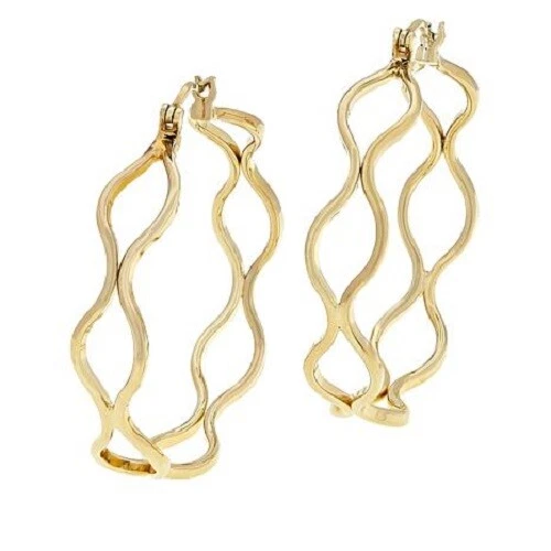 Details 121+ hsn gold hoop earrings latest seven.edu.vn