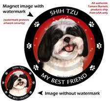 Assorted Shih Tzu My Best Friend Dog Car Magnet