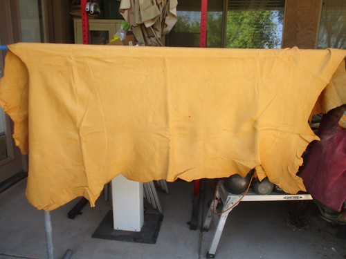 1980s ELK HIDE Leather, Full Skin, dated 1983, Ozette Forrest