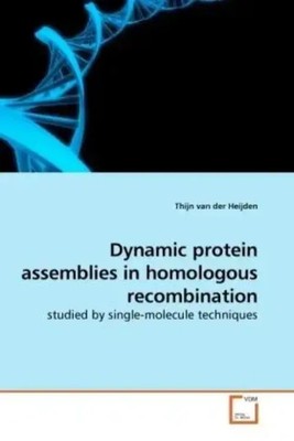 Thijn van der Heijden | Dynamic protein assemblies in homologous recombination