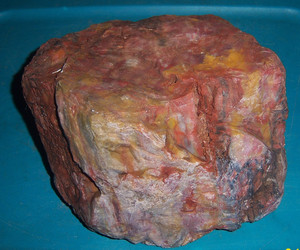 Colorful Petrified Wood 18 lb Stone Southwest