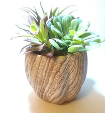 New Ceramic Planter w/ Faux Succulent Plant Decor, Brown  Cream 8 "