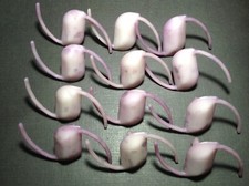 12 Pc Ford Fender Body Quarter Push In Belt Moulding Clips 1 To 1-14 Nors