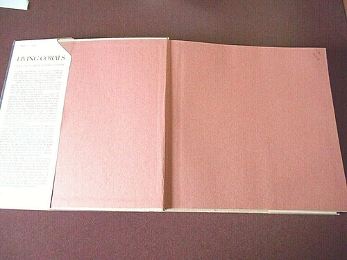 LIVING CORALS Book by Douglas Faulkner - Richard Chesher - Picture 3 of 12