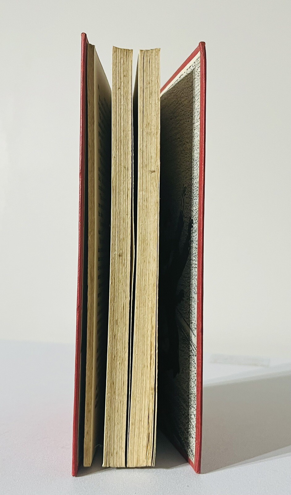 Picture 3 of 6