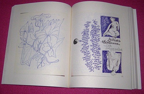Sammler. Die Insel Satin. Grafische Aufnahme von Gérard Blanchard. Illustrator. - Bild 3 von 3