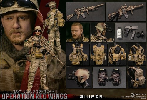 Figura 1/6 líder de equipo DAM TOYS 78069 Operation Red Wings US NAVY SEALS SDV 1 - Imagen 12 de 12