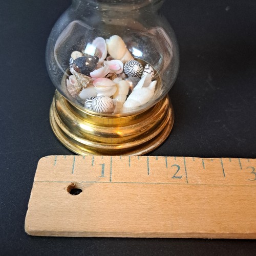 Vintage Victorian Style Magnifying Viewing Jar Filled with Sea Shells - Picture 3 of 7