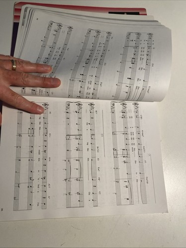 THE LESLIE BRICUSSE THEATRE SONGBOOK Piano Vocal Guitar Music Instruction Book - Imagen 14 de 16