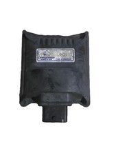 CENTRALINA GPL PER FIAT Punto EVO 616062000 Benzina 1200 (12>)