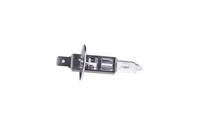 GlüHlampe Fernscheinwerfer Bosch 1 987 301 005 FüR Peugeot Piaggio Porsche