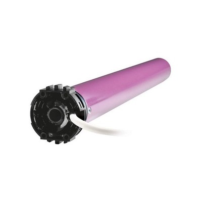 Delta Dore RL5010F 7011519 Wired Motor for Roller Shutter Rollia 10 Nm