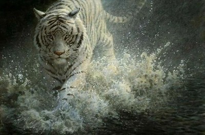 John Seerey Lester '' WHITE LIGHTNING''  S&N 915/1250 MINT W/COA  White Tiger