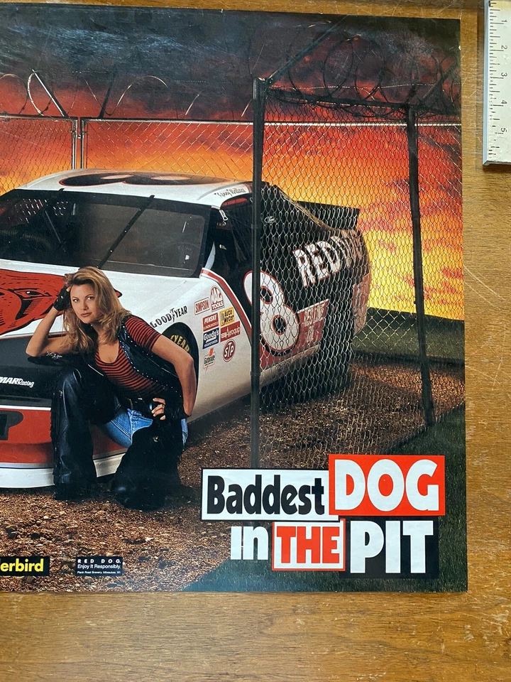 Vintage 1990s Kenny Wallace Red Dog “Baddest Dog In The Pit” Poster (20 x 30) - Image 4 of 4