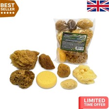 Natural & Synthetic Sponges - 7 Assorted Sizes for Effortless Artistic Creations