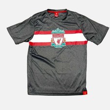 Liverpool Football Club Grey T Shirt Size Large