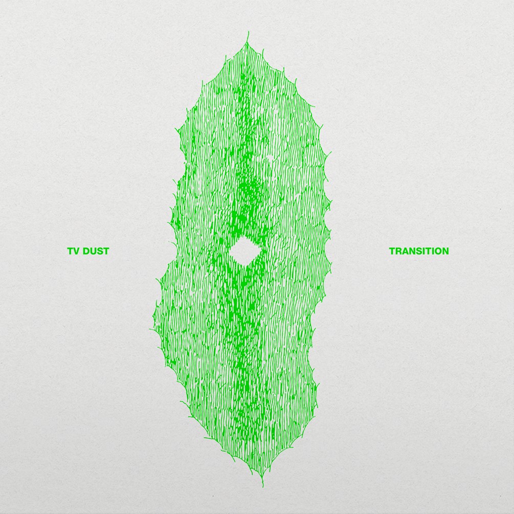 TV Dust Transition (винил) 12 альбом (ИМПОРТИРОВАН ИЗ Великобритании)