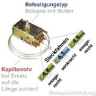Bild 3 von 3