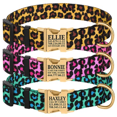 monogrammed dog collars nylon