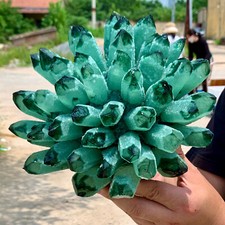 9.58LB New Find Green Phantom Quartz Crystal Cluster Sample healing