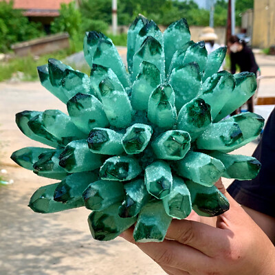 9.58LB New Find Green Phantom Quartz Crystal Cluster Sample healing