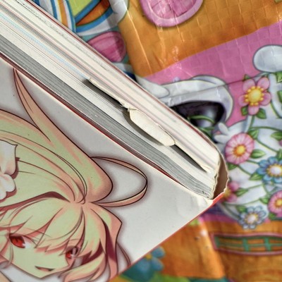 USED ​​TYPE-MOON 10th Anniversary Phantasm #PG2D5Q | eBay