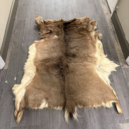 Tanned Deer Hide Deerskin Pelt Cabin Rug Hair On Rustic Home Decor  36x26