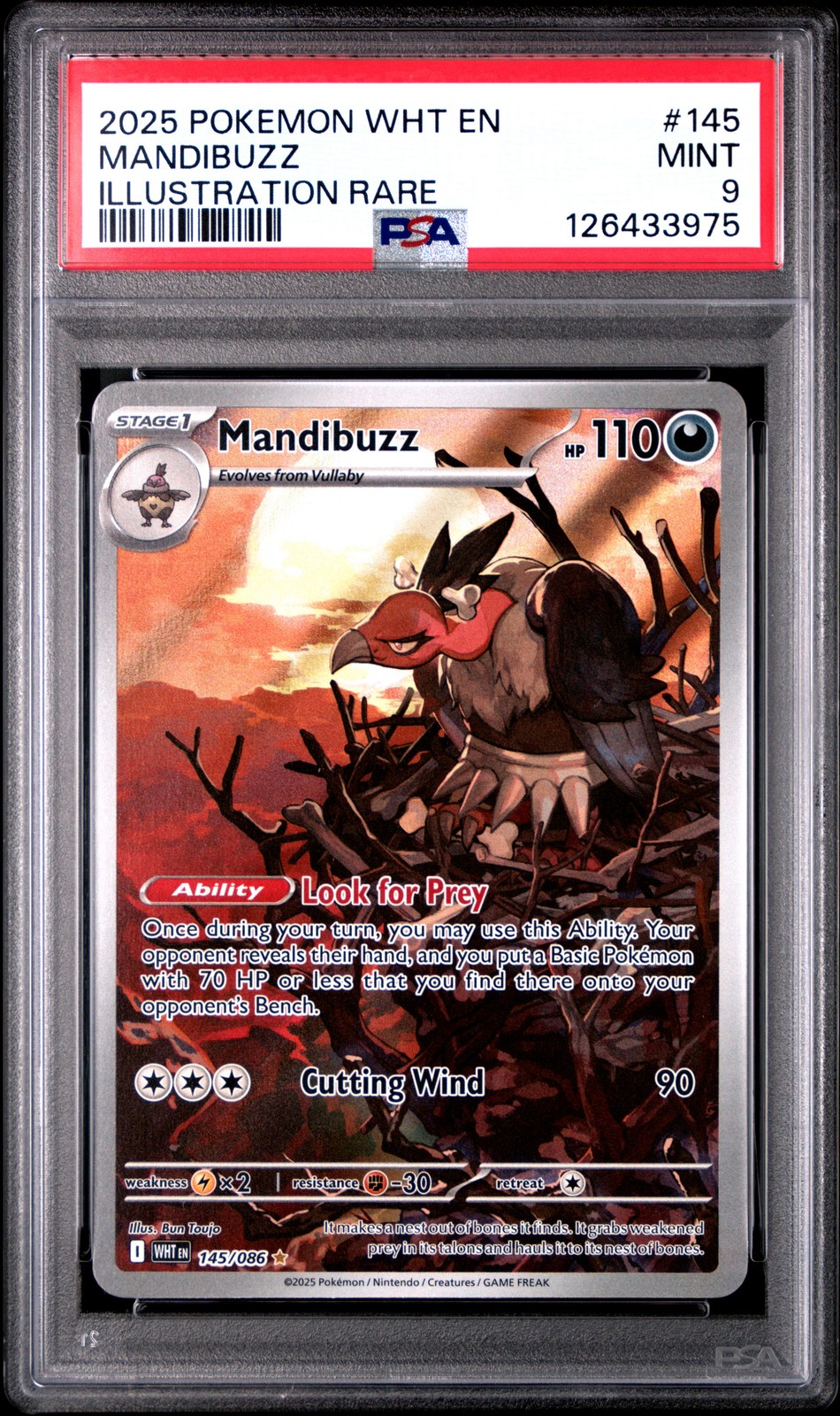 Mandibuzz #145