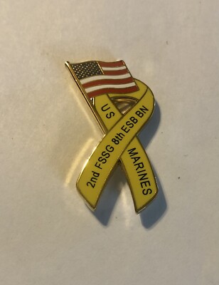 Support Our Troops 2nd FSSG 8th ESB BN Marines Pin