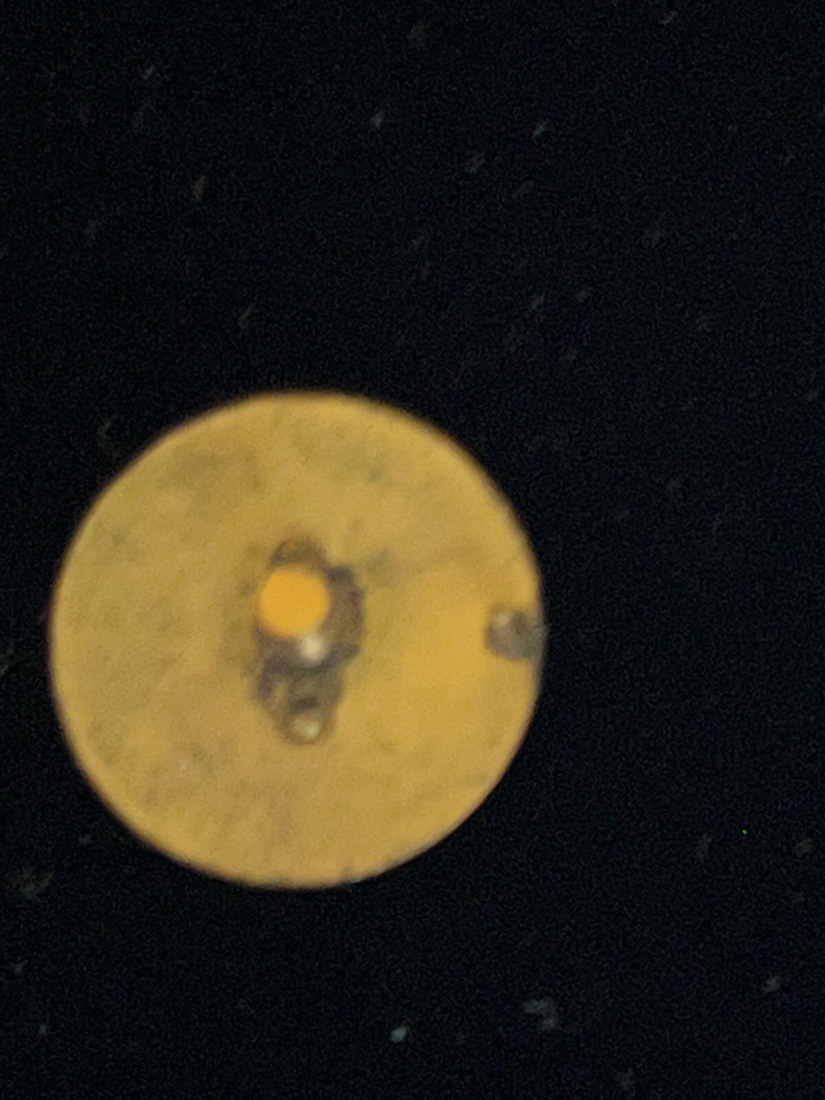 Picture 7 of 7